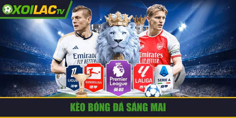 Nhận Định Bóng Đá Chính Xác Cao Nâng Tầm Hiệu Quả Soi Kèo